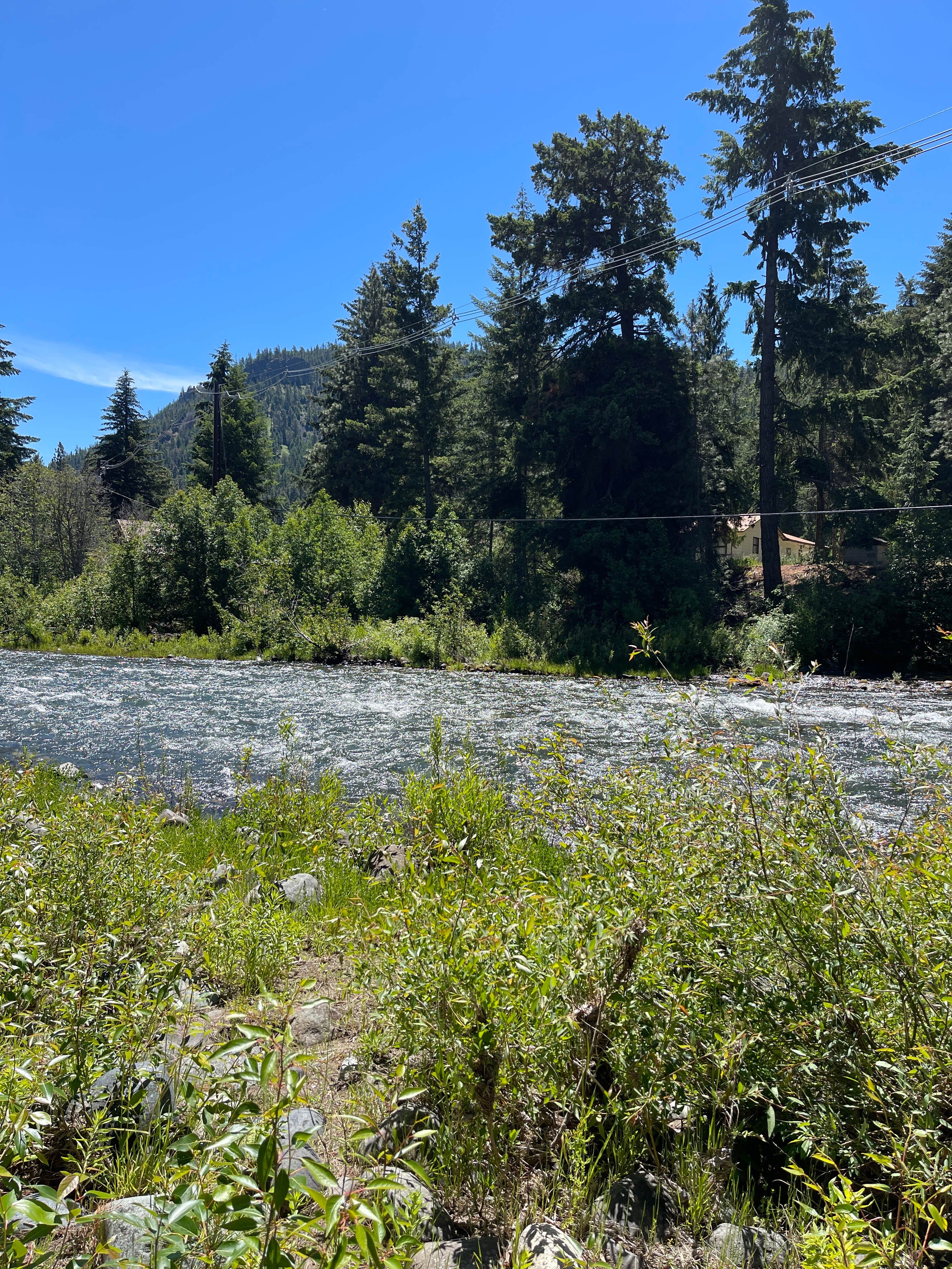Camper-submitted photo at Cottonwood Campground near Forks, WA