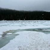 Review photo of Cougar Rock Campground — Mount Rainier National Park by Ismael P., July 25, 2024