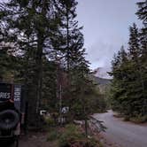 Review photo of Cougar Rock Campground — Mount Rainier National Park by Kristi D., September 20, 2023