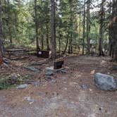 Review photo of Cougar Rock Campground — Mount Rainier National Park by Kristi D., September 20, 2023