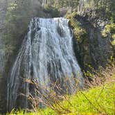 Review photo of Cougar Rock Campground — Mount Rainier National Park by Ismael P., July 25, 2024