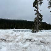 Review photo of Cougar Rock Campground — Mount Rainier National Park by Ismael P., July 25, 2024