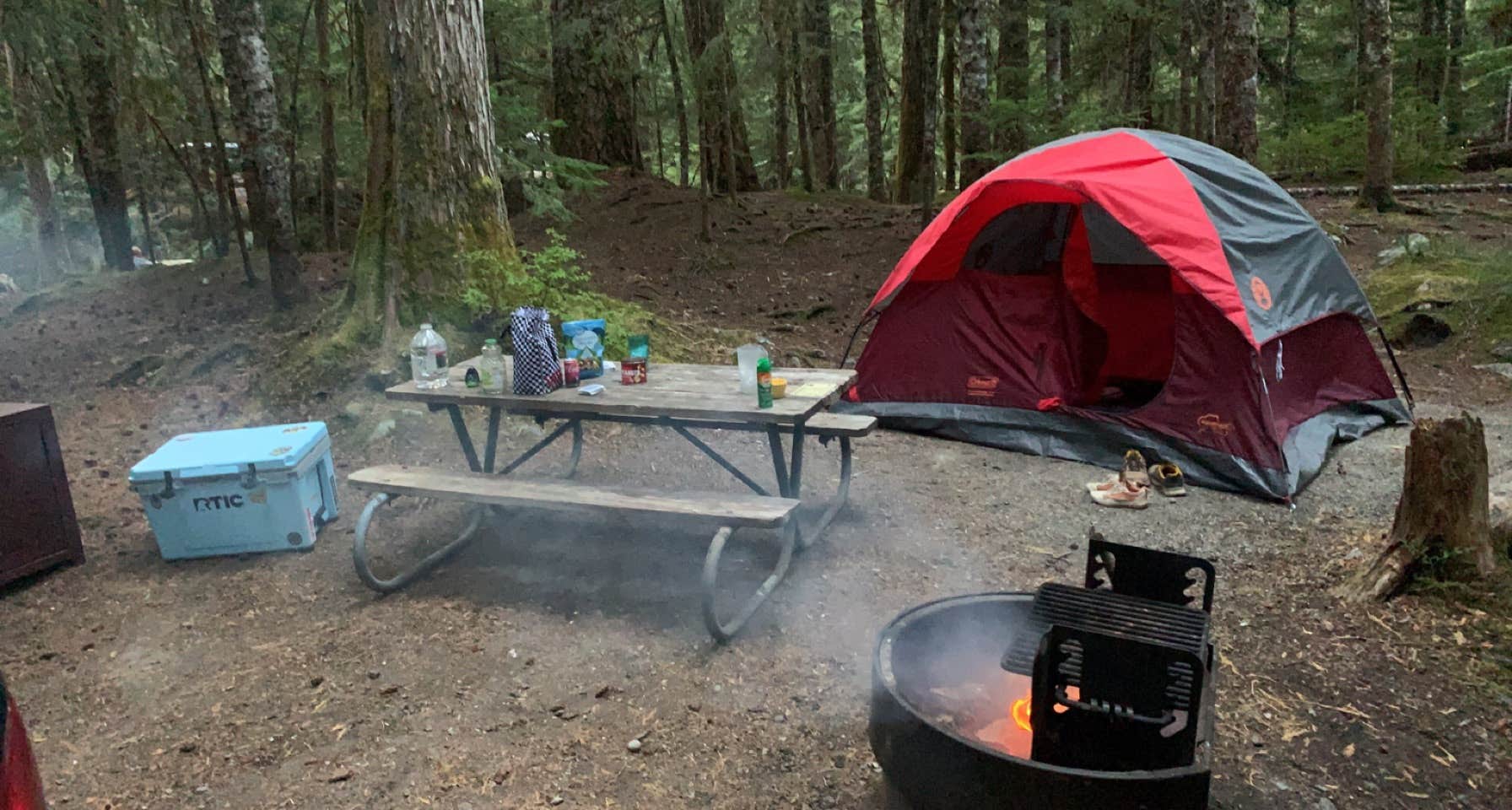 cheryl's photo at Cougar Rock Campground — Mount Rainier National Park near Ashford, WA