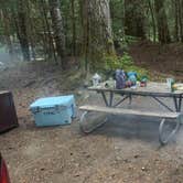 Review photo of Cougar Rock Campground — Mount Rainier National Park by cheryl , November 20, 2025