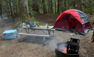 cheryl's photo at Cougar Rock Campground — Mount Rainier National Park near Ashford, WA