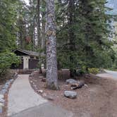 Review photo of Cougar Rock Campground — Mount Rainier National Park by Kristi D., September 20, 2023