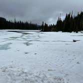 Review photo of Cougar Rock Campground — Mount Rainier National Park by Ismael P., July 25, 2024