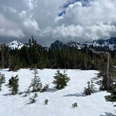 Review photo of Cougar Rock Campground — Mount Rainier National Park by Ismael P., July 25, 2024