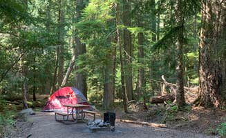 cheryl's photo at Cougar Rock Campground — Mount Rainier National Park near Ashford, WA