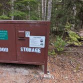 Review photo of Cougar Rock Campground — Mount Rainier National Park by Kristi D., September 20, 2023