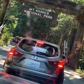 Review photo of Cougar Rock Campground — Mount Rainier National Park by cheryl , November 20, 2025