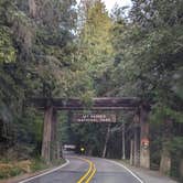 Review photo of Cougar Rock Campground — Mount Rainier National Park by Kristi D., September 20, 2023