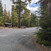 Review photo of Cougar Rock Campground — Mount Rainier National Park by Kristi D., September 20, 2023