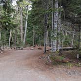 Review photo of Cougar Rock Campground — Mount Rainier National Park by Kristi D., September 20, 2023