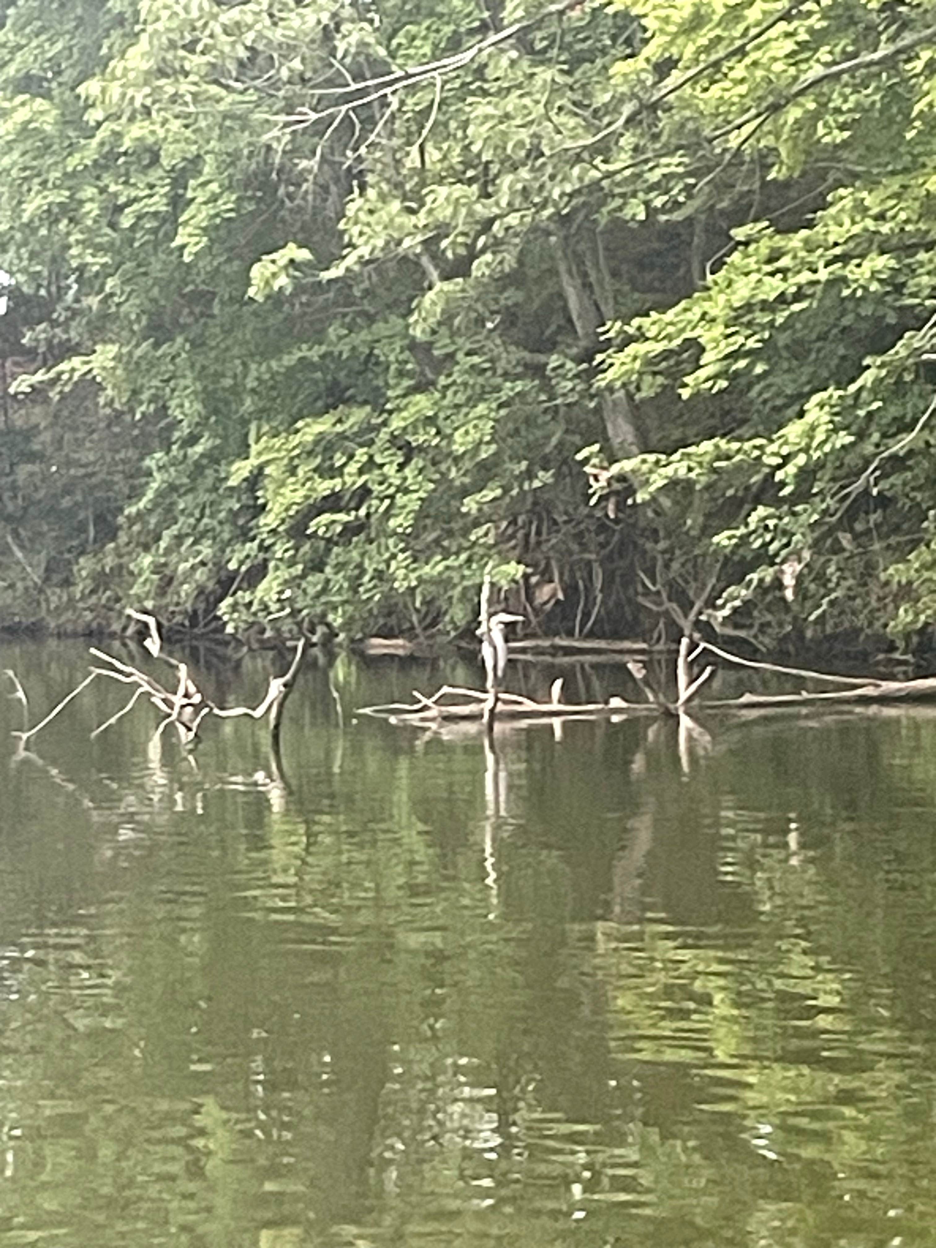 Camper-submitted photo at Washington County State Recreation Area near Centralia, IL