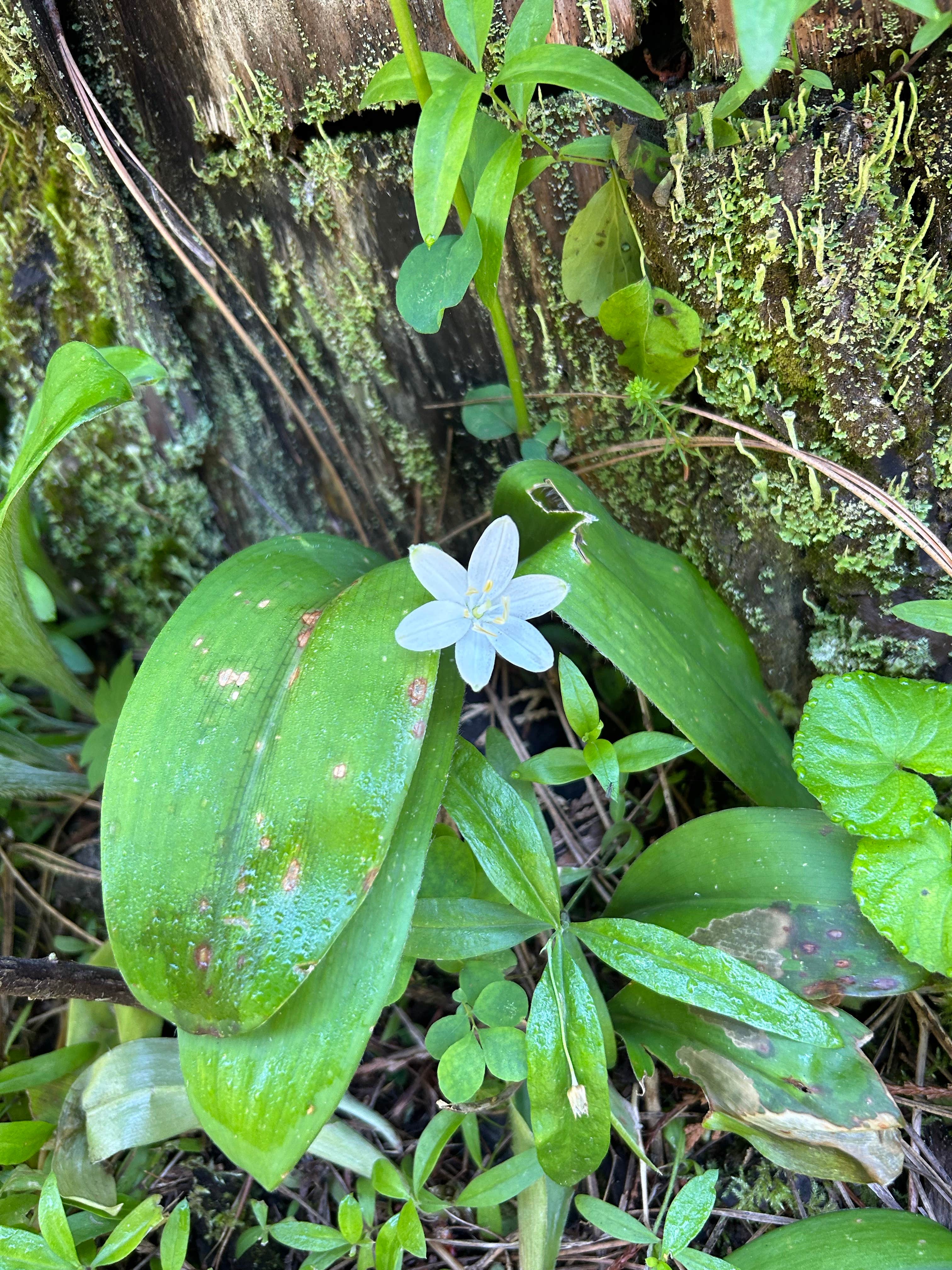 Washington Creek Campground