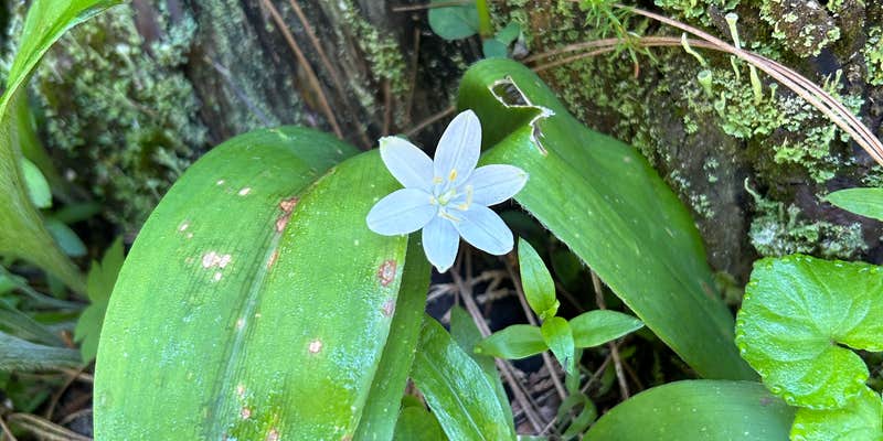 Camper submitted image from Washington Creek Campground