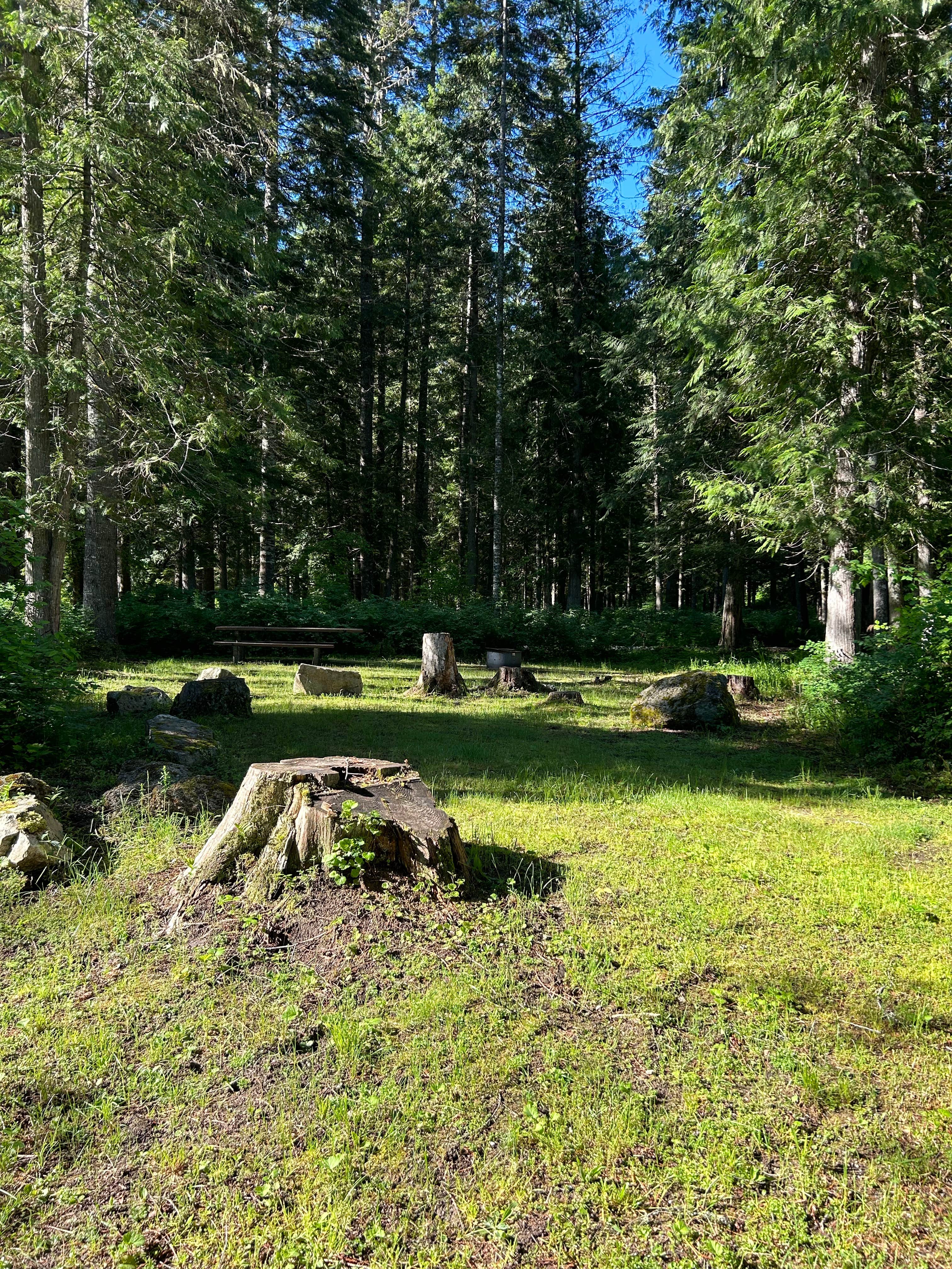 Camper-submitted photo at Washington Creek Campground near Nez Perce-Clearwater National Forests