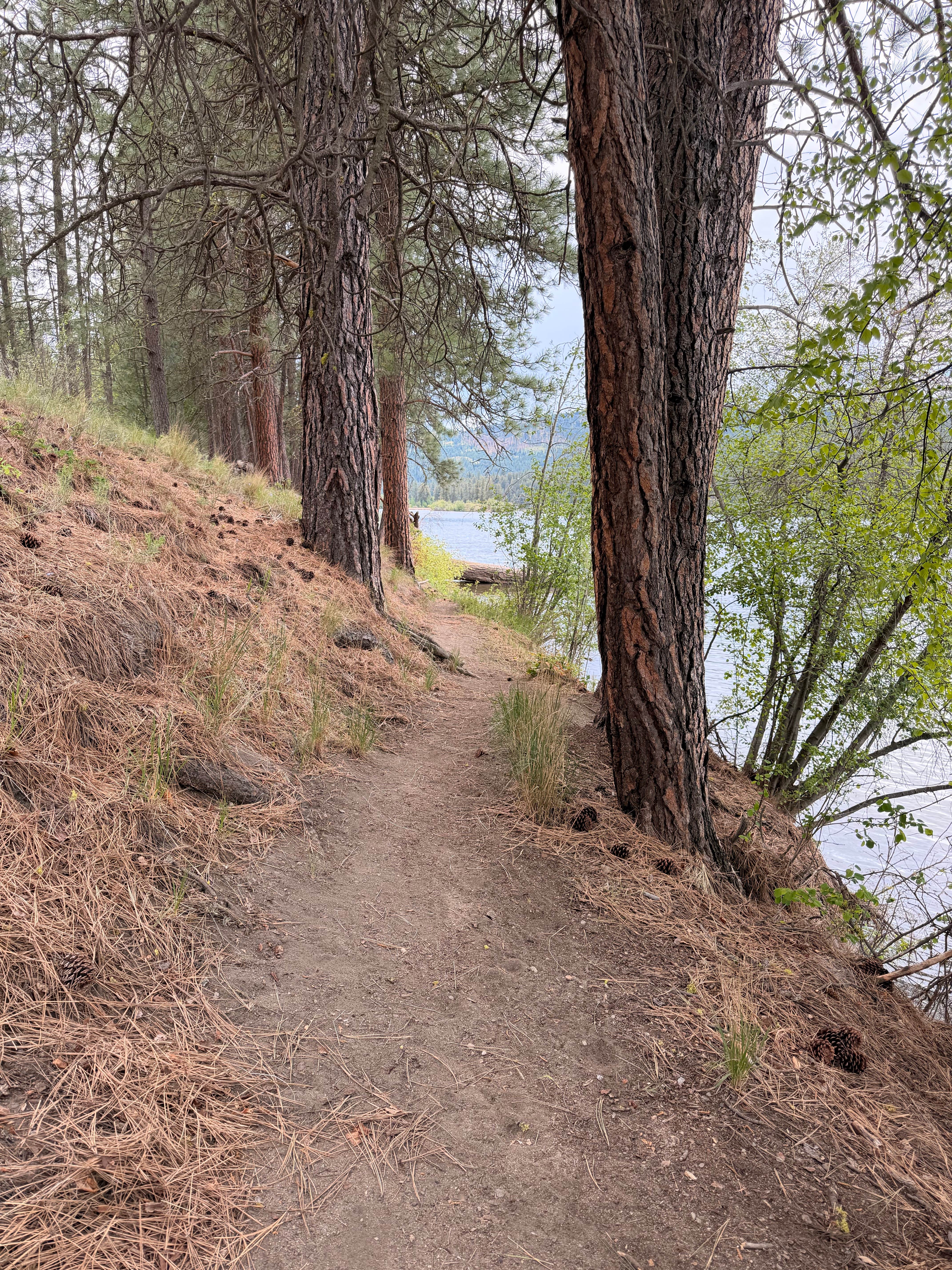 Camper-submitted photo at Curlew Lake State Park Campground near Republic, WA
