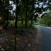 Review photo of Dash Point State Park Campground by Ocean M., August 11, 2026