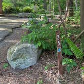 Review photo of Dash Point State Park Campground by Brittany D., May 14, 2025