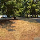 Review photo of Dosewallips State Park Campground by Kim G., August 28, 2026