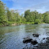 Review photo of Dosewallips State Park Campground by RoamingAspen V., June 13, 2024