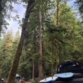 Review photo of Fairholme Campground — Olympic National Park by Susan L., July 10, 2026