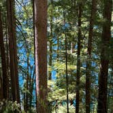 Review photo of Fairholme Campground — Olympic National Park by Susan L., July 10, 2026