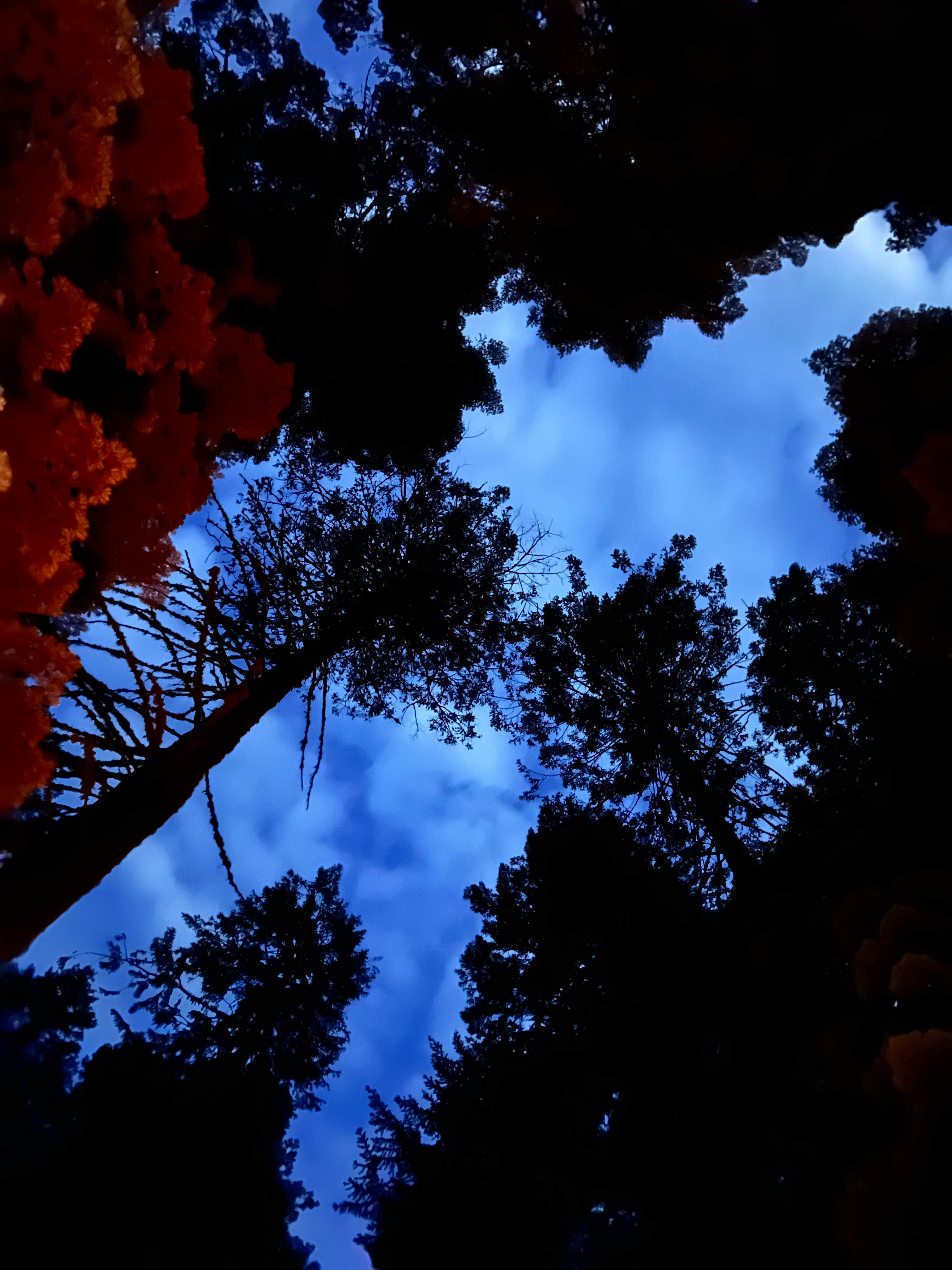 Camper-submitted photo at Fields Spring State Park Campground near Lapwai, ID