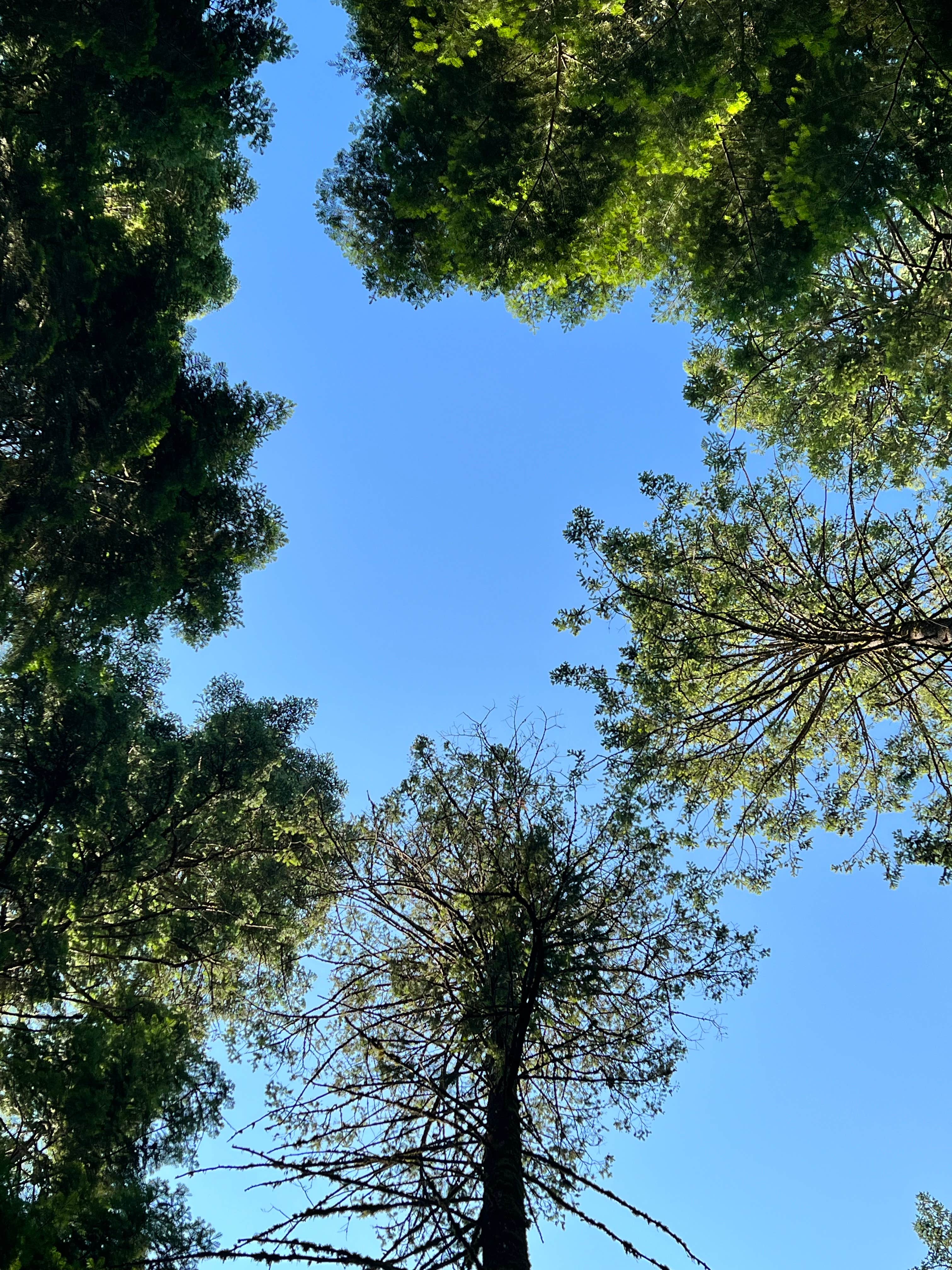 Camper-submitted photo at Fields Spring State Park Campground near Lapwai, ID