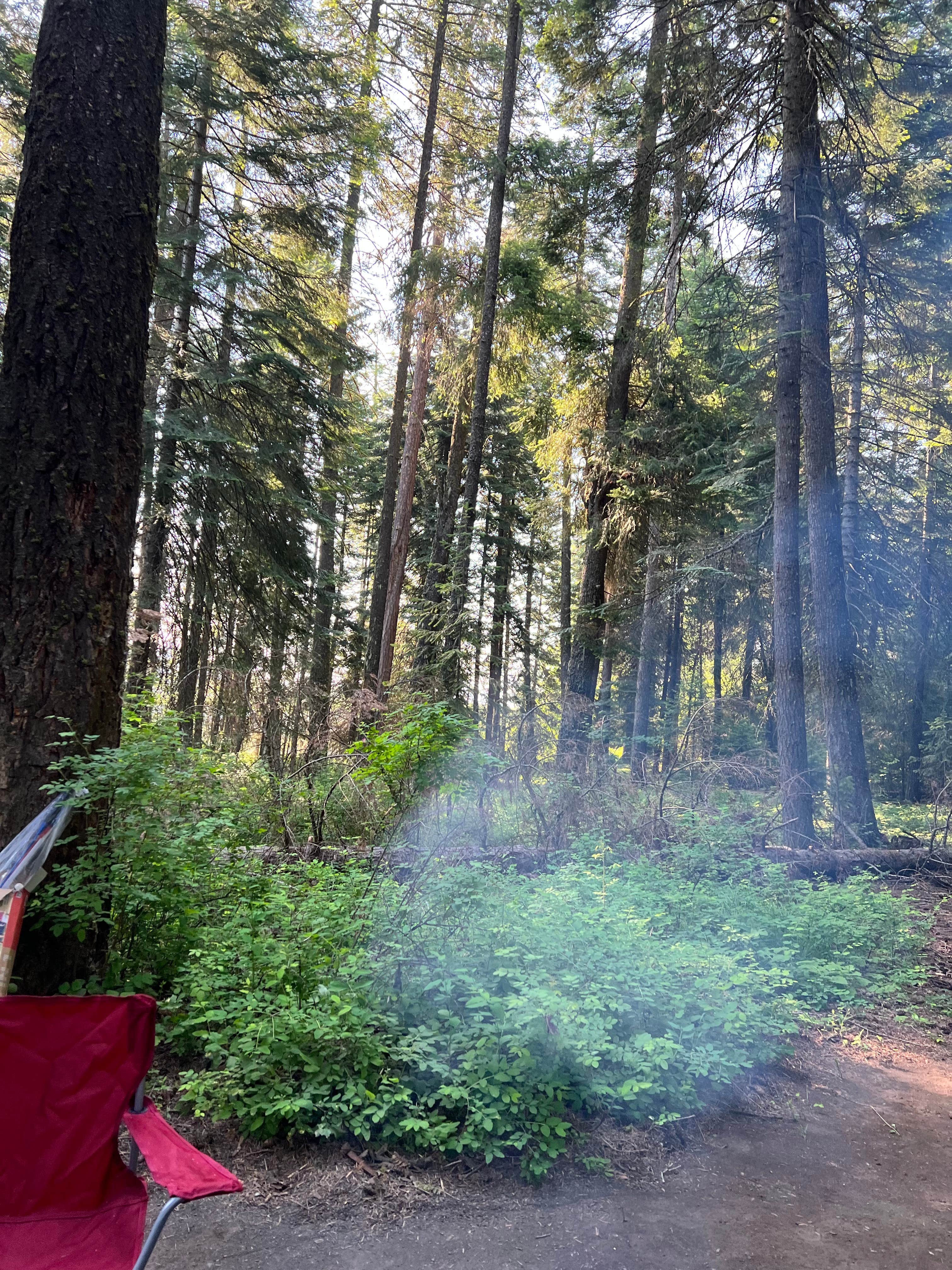 Amber T.'s photo at Fields Spring State Park Campground near Clarkston, WA