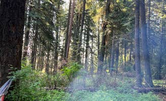 Amber T.'s photo at Fields Spring State Park Campground near Lapwai, ID