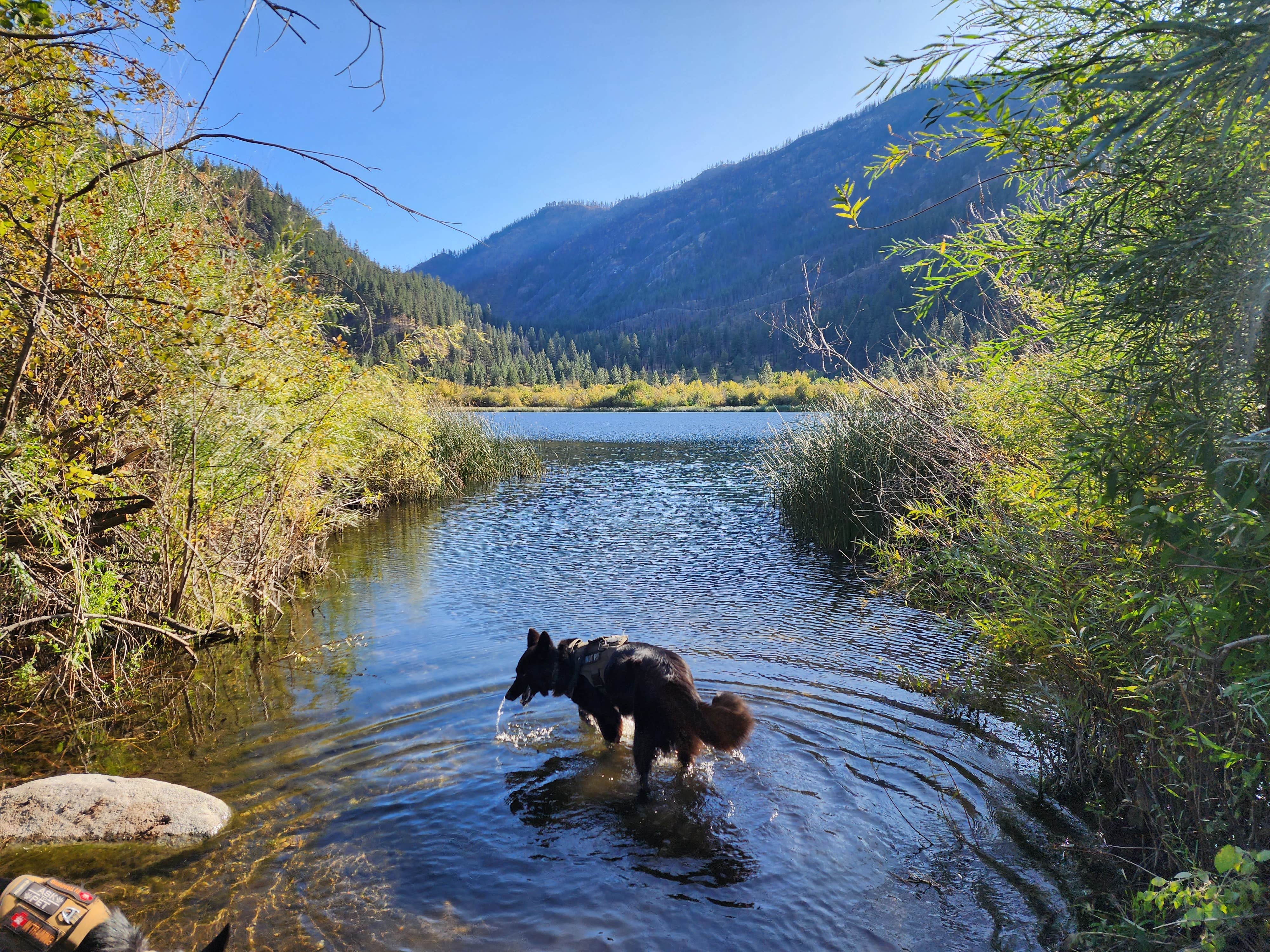 Camper submitted image from Fish Lake #4 - 5