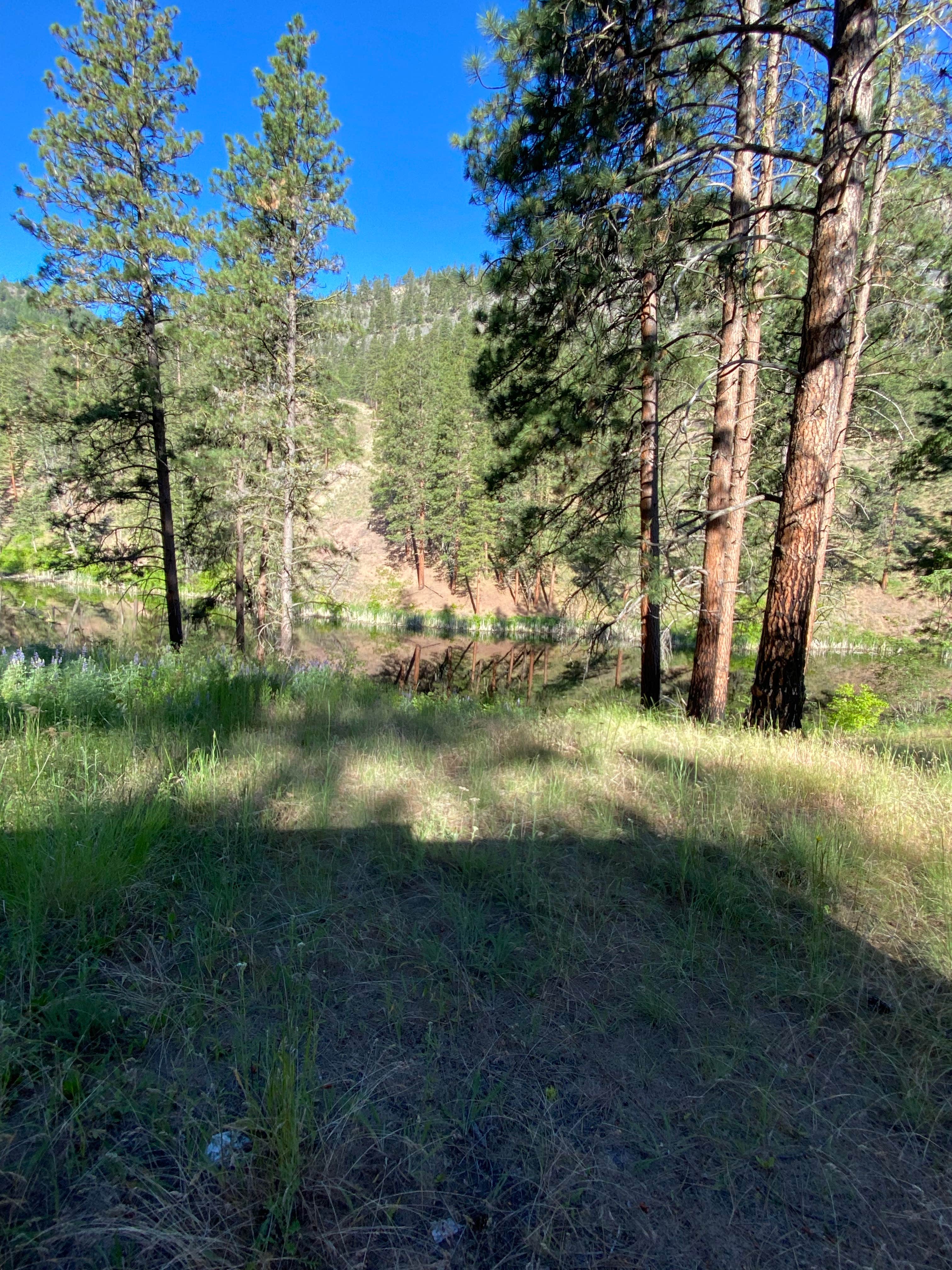 Camping near Oriole Campground: Forde Lake, Tonasket, Washington