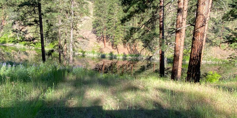 Camper submitted image from Forde Lake