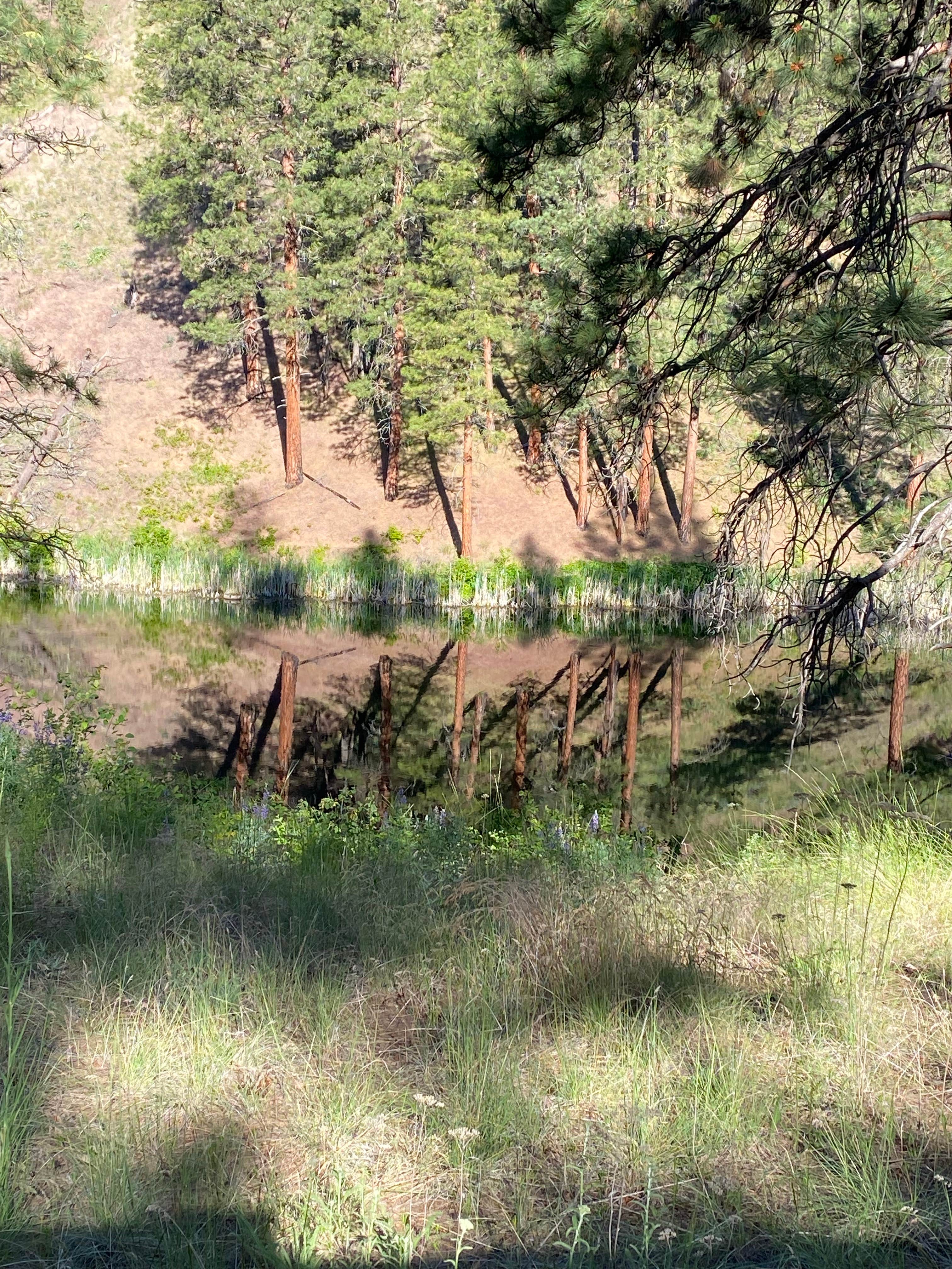 Camper-submitted photo at Forde Lake near Conconully, WA
