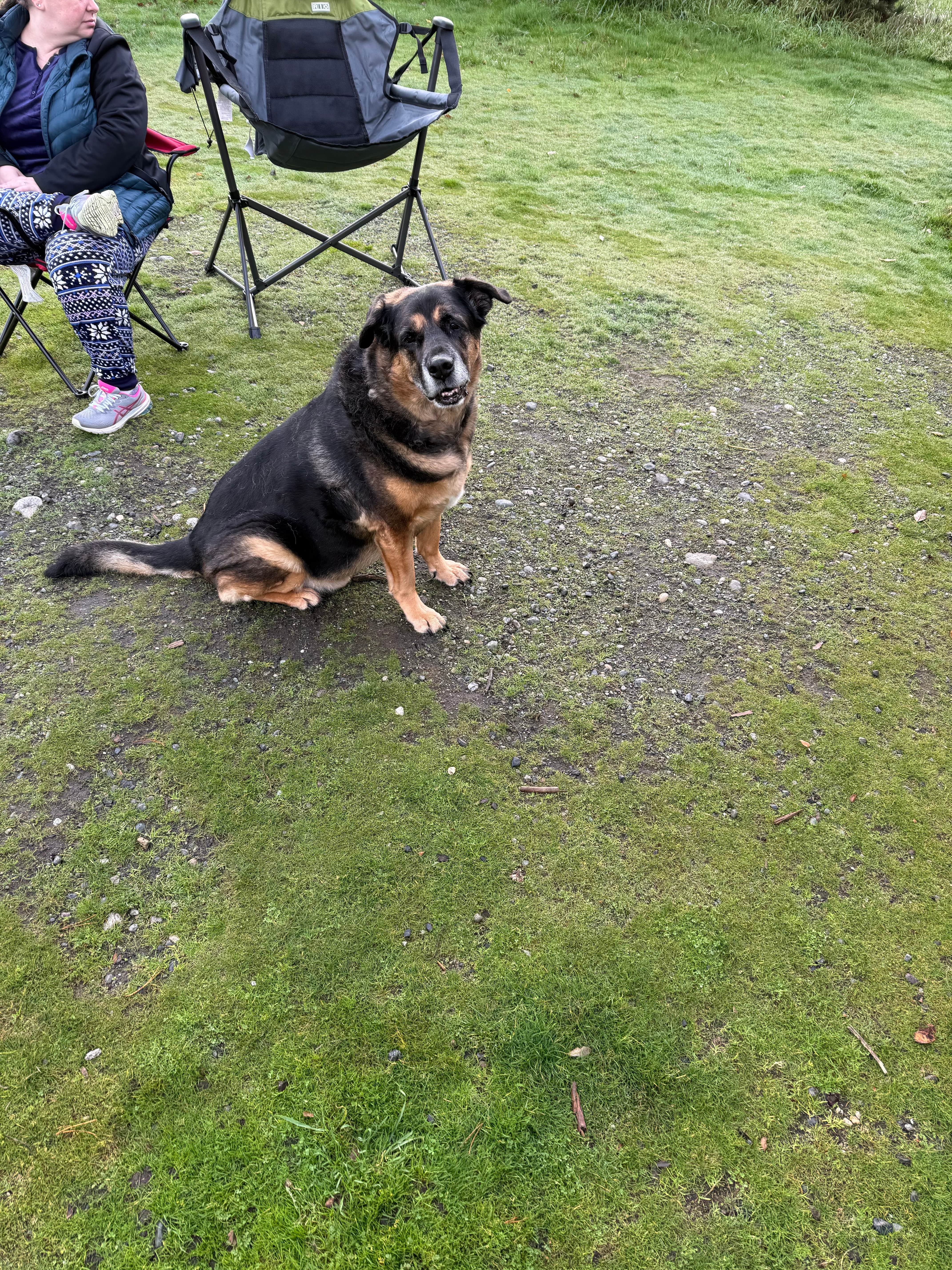 Joshua W.'s photo of camping with pets at Fort Casey Historical State Park Campground near Clinton, WA