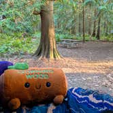 Review photo of Fort Townsend Historical State Park Campground by Sylvias S., April 19, 2026