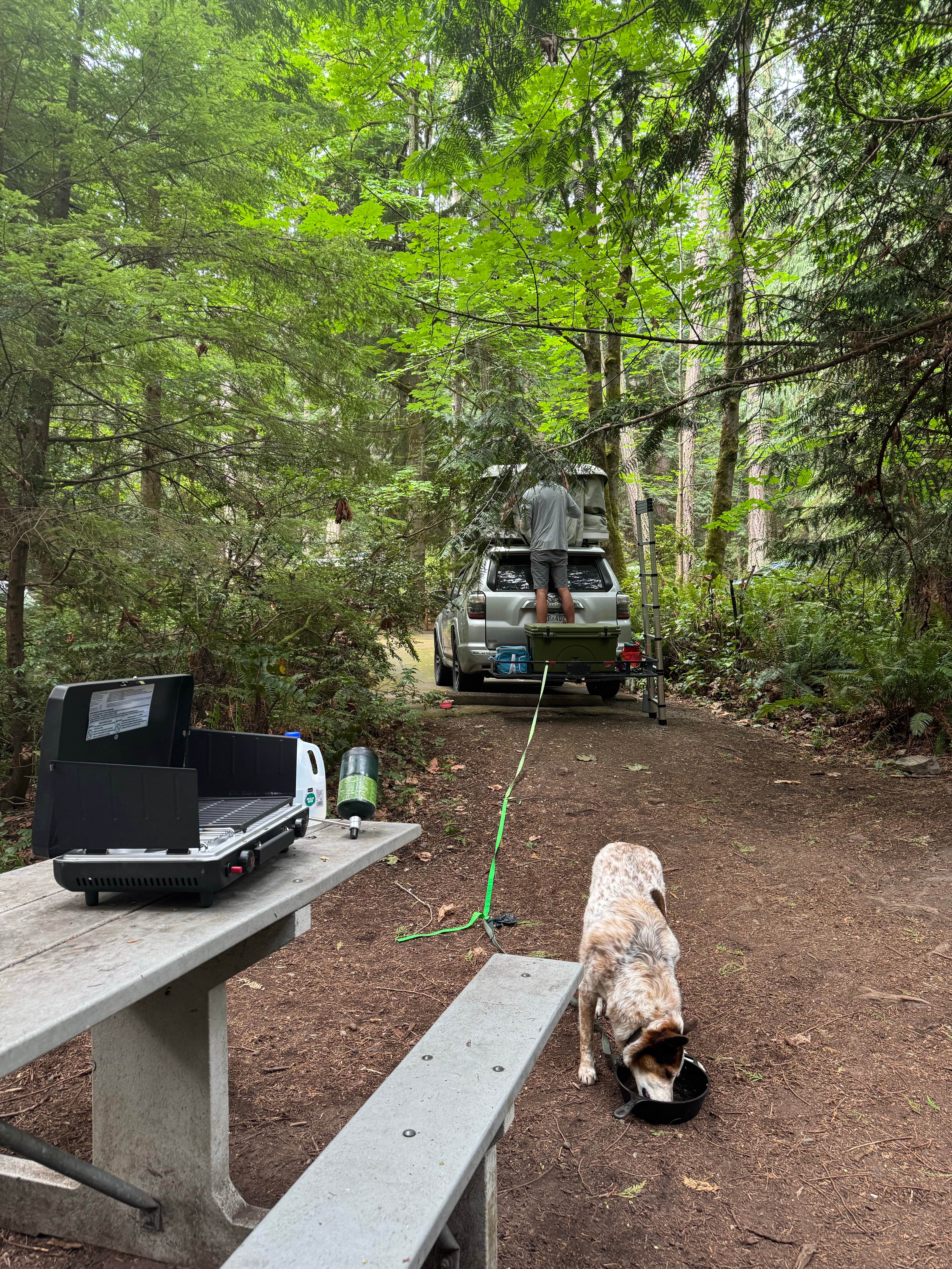 Isabelle K.'s photo of camping with pets at Fort Townsend Historical State Park Campground near Port Townsend, WA