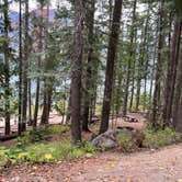 Review photo of Glacier View Campground by Meghan B., September 16, 2025