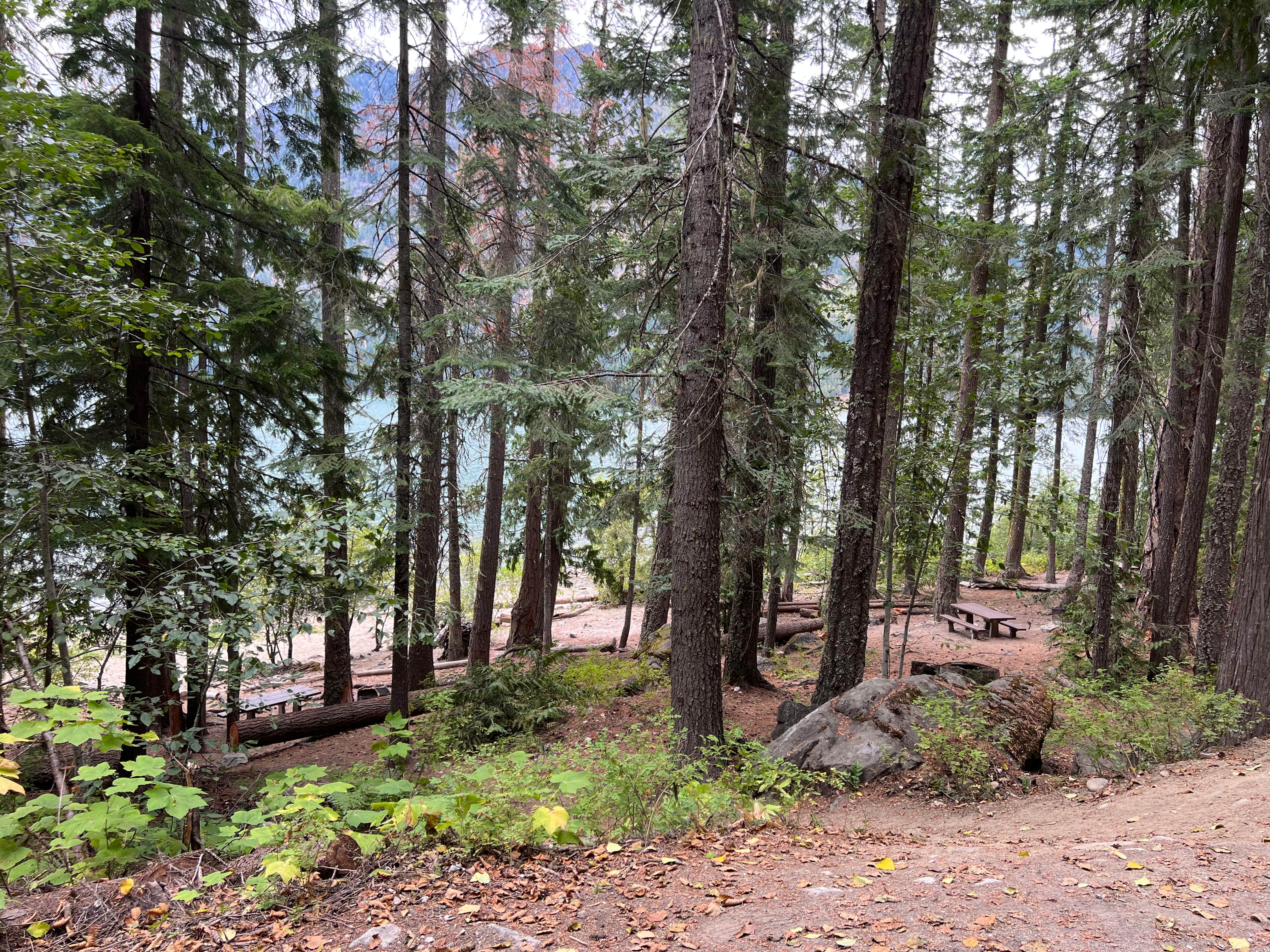 Camper submitted image from Glacier View Campground - 4