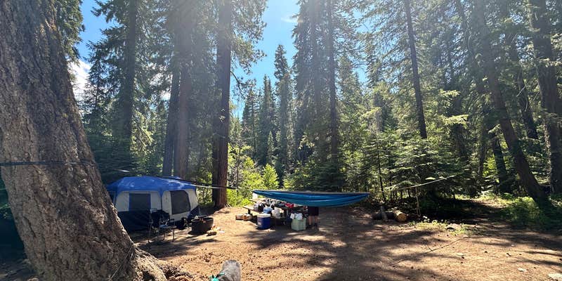Camper submitted image from Goose Creek Campground