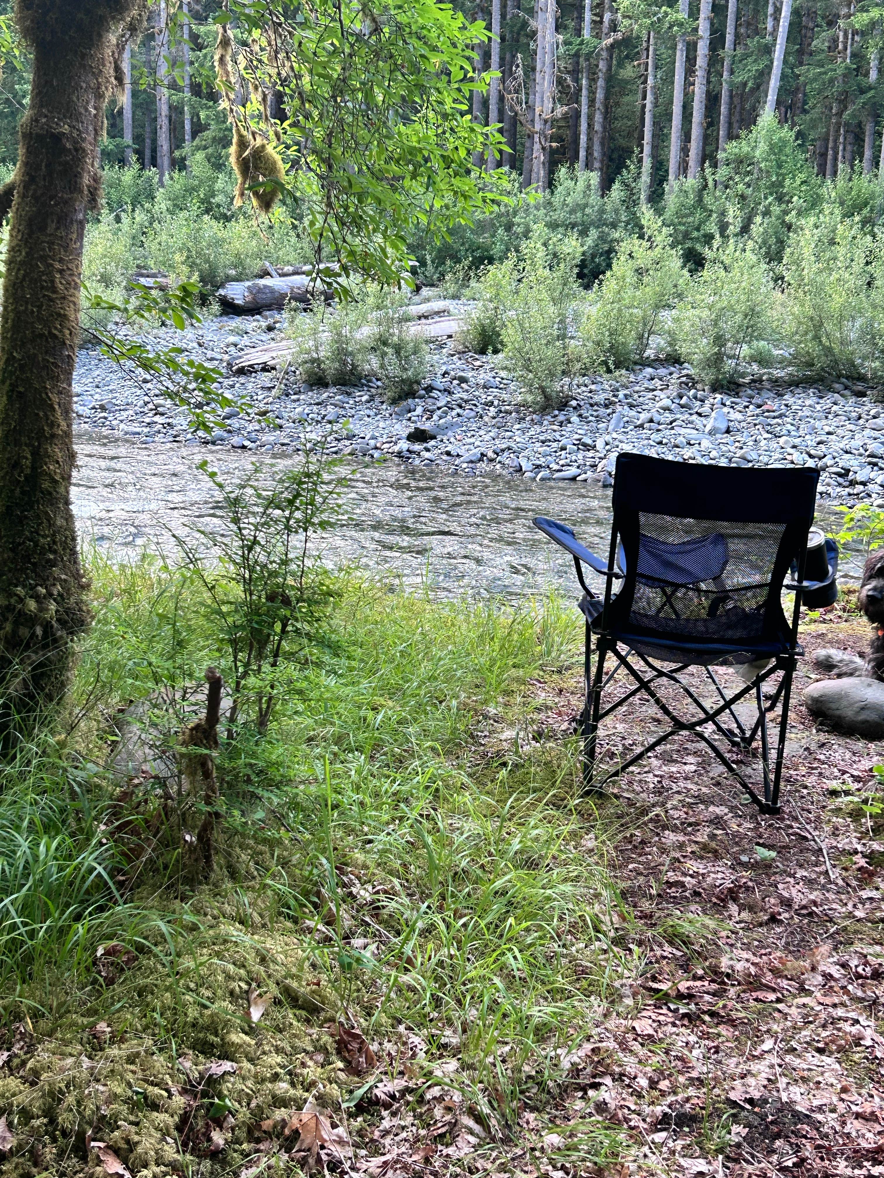 Lori R.'s photo at Graves Creek Campground — Olympic National Park near Olympic National Park
