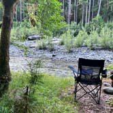 Review photo of Graves Creek Campground — Olympic National Park by Lori R., August 11, 2026
