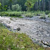 Review photo of Graves Creek Campground — Olympic National Park by Lori R., August 11, 2026