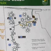 Review photo of Grayland Beach State Park Campground by Christina F., July 17, 2026