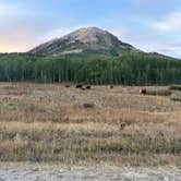 Review photo of Washington Gulch - Dispersed Camping by Shayla A., August 23, 2026