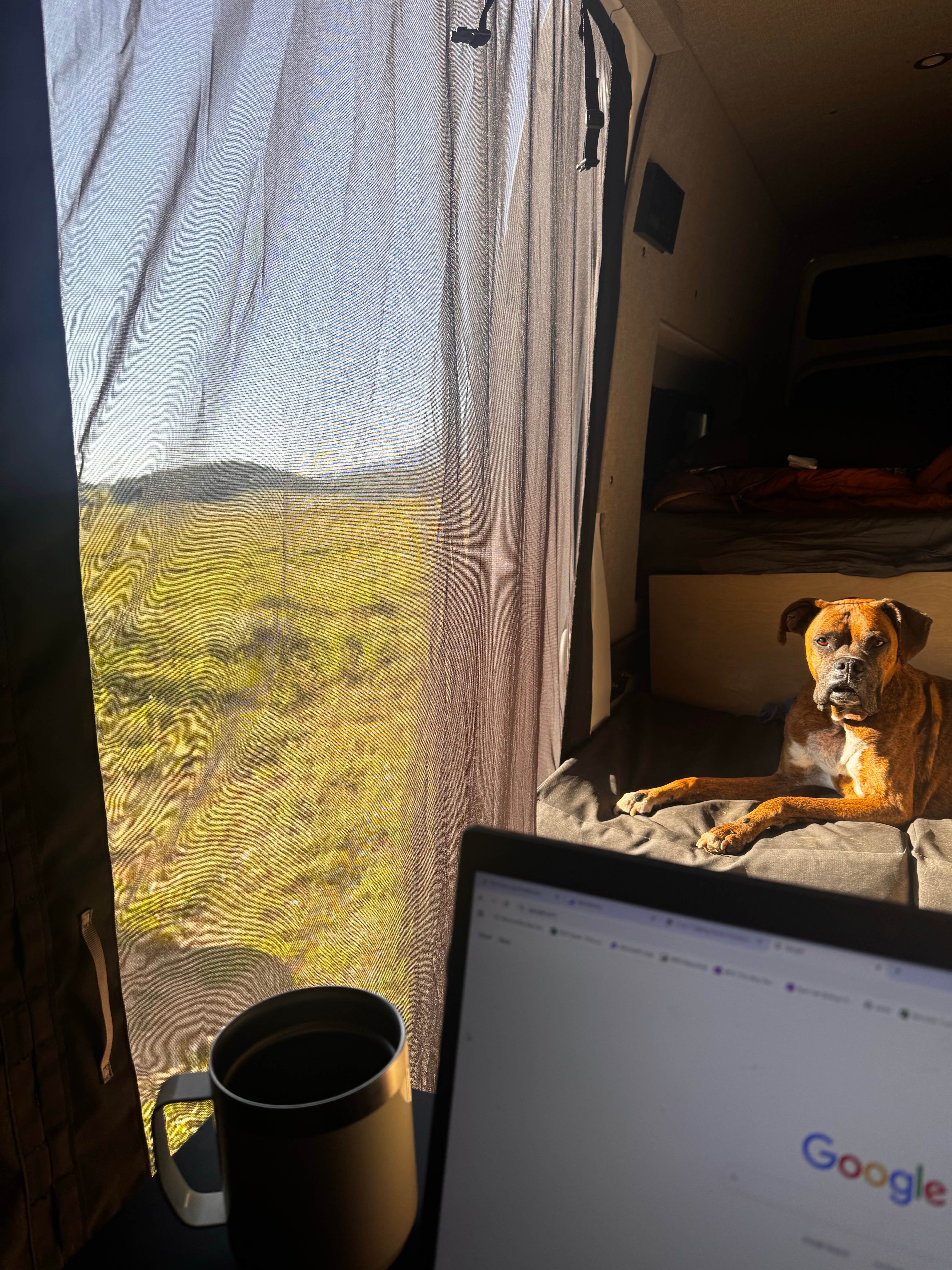 Camper submitted image from Washington Gulch - Dispersed Camping - 5