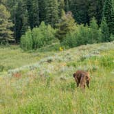 Review photo of Washington Gulch - Dispersed Camping by Ryan L., July 3, 2025